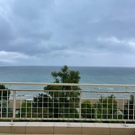 View פוגרדץ