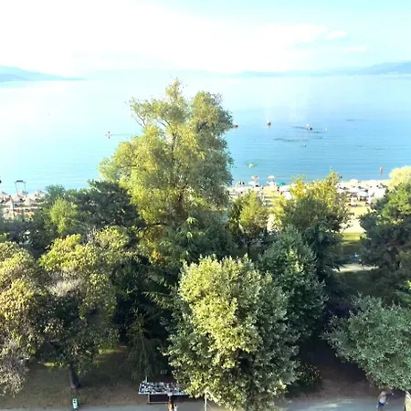 View بورغراديك