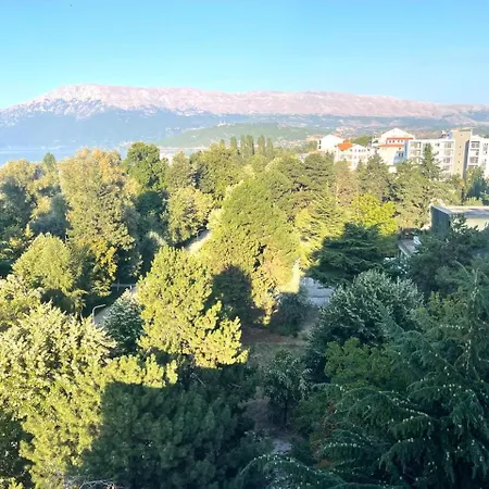 شقة View