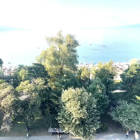 View بورغراديك